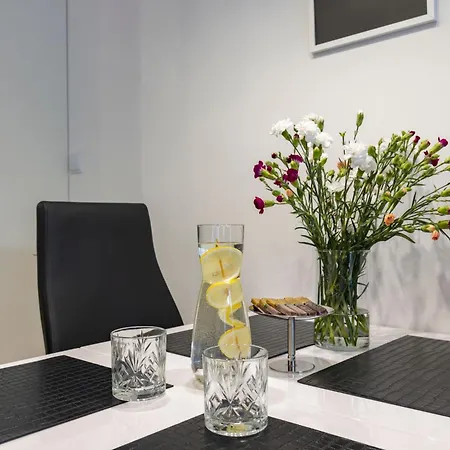 Champion Hanza Tower, Apartament Nr 612 Stettino
